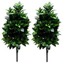 即納みずみずしいツヤ感 しきみ 樒 しきび 造花 約60cm 2本(1対) 創価学会 会館仕様 光触媒 抗菌 消臭 型崩れ防止専用箱入り