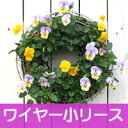 ワイヤーメッシュリース[FMP01-30G]（土5L+水苔+フック付き）壁掛けハンギング・花のリース・園芸雑誌でも掲載（メッシュプランター・ドーナツリース）