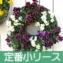 お花で作るハンギングリースセット(小サイズ/一年草9cmポット向き)