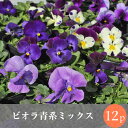 なごみ ビオラ 青系アソート 花苗 12ポットセット...