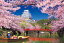 【1000P】桜彩る姫路城 2,156円