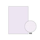 (まとめ) コピー偽造防止用紙 ヒサゴ コピー偽造予防用紙 BP2110 4902668570092 ●規格:A4判●仕様:両面印刷 1袋【10×セット】