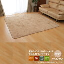 【ポイント20倍】ベージュ(beige) 200×250 ★ ラグ カーペット 3畳 無地 フィラメント ホットカーペット対応 送料無料