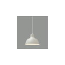 アイリスオーヤマ LEDペンダントライト LED電球セット Dibase(ディバーゼ) 鉄製 ベージュ PL8LE26IC1U