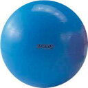 ギムニクカラーボール 95cm ブルー
