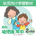 【おうちで勉強】家庭学習教材いちぶんのいち幼児版 レベル2(対象年齢4・5歳)2ヶ月分発送