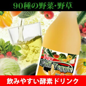 酵素ドリンク ダイエットドリンク ファスティングダイエット 酵素 ダイエット ダイエット飲料 diet ドリンクタイプ 酵素液 飲料 酵素飲料 プチ断食 フルベジデト酵素液 2本以上【送料無料】