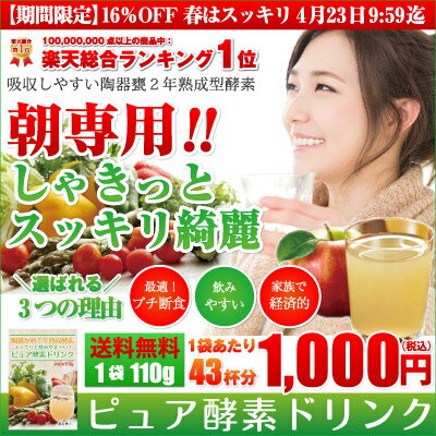 16％OFF ピュア酵素ドリンク 110g 43杯分 1杯約24円 1000円 ポッキリ 送料無料 酵素 ファスティング ダイエット 酵素ドリンク 粉末 酵素配合飲料 断食 酵素 fast diet 短期断食 クエン酸　ダイエットサプリ ファスティングドリンク 楽天 お守りサプリ