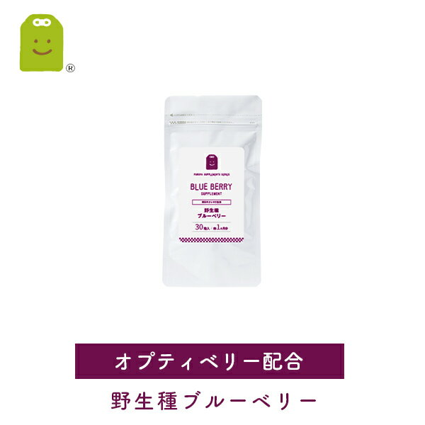 【送料無料】 ブルーベリー ビルベリー ルテイン サプリメント ブルーベリー酢 (Blueberry Vinegar)より飲みやすいカプセルだから毎日続けられる 76％OFF ブル━ベリ━ 1000円ポッキリ ブルー・ベリー 【半額50％OFF】