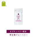送料無料 ルテイン ブルーベリー ビルベリー サプリメント アイ(目)に レスベラトロール オプティベリー 76%OFF 1000円ポッキリ 【ポッキリ】【ぽっきり】 るていん suplee 半額 以下