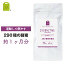 【新発売】酵素サプリ　290種の酵素（90粒・約30日分） コレウスフォルスコリ配合 フォルスコリ サプリ　人気芸人で話題の フォルスコリ サプリメント αリポ酸 Lカルニチン 美容サプリ ダイエットサプリ 1000円ポッキリ 【ぽっきり】【ポッキリ】