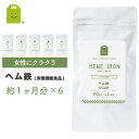 ヘム鉄 サプリメント (約6ヶ月分・60粒×6袋)【メール便送料無料】 1日2粒8mg動物性鉄分 ヘム鉄 サプリ 栄養調整食品 ヘム鉄配合 ミネラル類 健康維持 栄養機能食品 【RCP】 楽天 お守りサプリ 楽天スーパーSALE