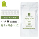 ヘム鉄 サプリメント (約1年分・60粒×12袋)【送料無料】 1日2粒8mg動物性鉄分 ヘム鉄 サプリ 栄養調整食品 ヘム鉄配合 ミネラル類 健康維持 栄養機能食品 【RCP】 売れ筋 【コンビニ受取対応商品】 楽天 お守りサプリ 楽天スーパーSALE