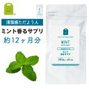 ~g tOX Tv (1NE720)     ލ I[fR Tvg  ~gTv  g[ yp[~g t[o[ flavor ~g mint supplement  RCP  yV Tv