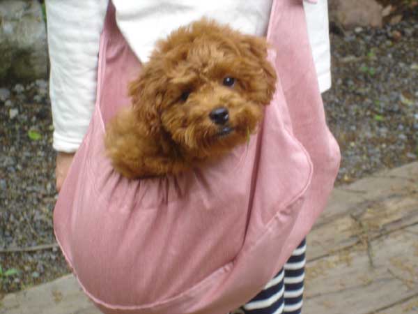 ワンコが安心する抱っこできるハンモック型キャリーバッグ「ドッグスリング　デニム」Lサイズ