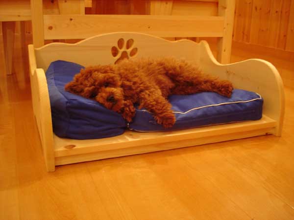 【送料無料】 ワンちゃんの指定席・無垢材で作る犬用ベッド「1stDogCafeオリジナルWANベッド(小・中型犬用)」