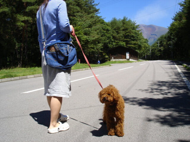 󥺤ᥤƺ1stDogCafe2WAYХå