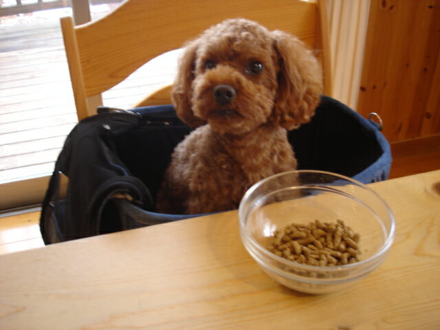 ̵1stDogCafeꥸʥCafeBagۡڥեХå