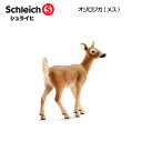 【10%OFFクーポン配布中】オジロジカ(メス) 14710...