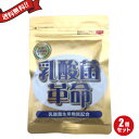 乳酸菌革命 62粒 2袋セット いきいき健康倶楽部