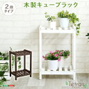 【送料無料】 木製キューブラック 2段【Tetras-テトラス-】