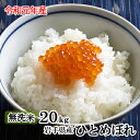 【送料無料】 令和 元年産 無洗米 岩手県産 ひとめぼれ 20kg (5kg×4本)|米 白米 ミツハシライス お米 おこめ 日本米 いわて純情米 岩手県 岩手 無洗 国内産 国産 ミツハシ ふっくら 令和元年 産 美味 美味しい