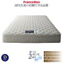 【送料無料】【FRANCEBED フランスベッド ダブルサイズ】【デュラテクノマットレス】 ダブ