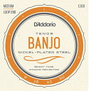 【D'Addario (ダダリオ)】【バンジョー弦】テナーバンジョー弦 ニッケル Medium 4弦 .009-.030 EJ63