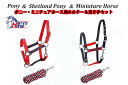 【6/1 新入荷】【Harry's Horse/ハリーズホース】カラフル曳き手+無口セット!/ポニー/シェットランド/ミニチュアホース(大)/仔馬用/無口 鼻周り調節有り【Pony】乗馬用品/馬具