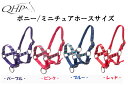 【6/1 新入荷】【QHP/キュー・エイチ・ピー】人気商品入荷!ポニー(小)/ミニチュアホース/仔馬用無口 鼻周り調節有り【Pony】【Miniature】乗馬用品/馬具