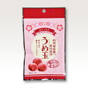 【テラモト うめ玉 35g 12袋入】 ★まとめ買い★ 夏にぴったり! 夏バテ防止 熱中症対策に 疲労回復に 梅 梅干し クエン酸