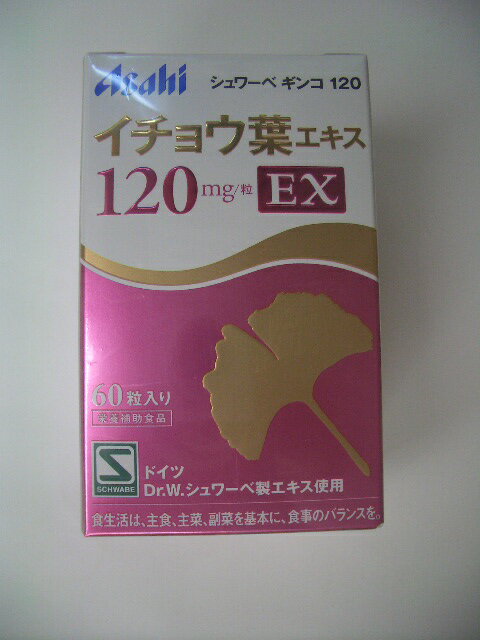 シュワーベギンコ120 60粒入2個【smtb-k】【w1】【マラソン201207_食品】【マラソン1207P05】【RCPmara1207】シュワーベギンコ120 60粒入2個