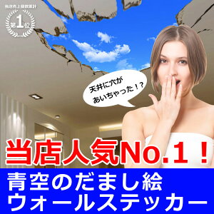 完売御礼！再入荷しました！ウォールステッカー【青空】50×70cm 壁紙 シール 賃貸OK はがせる 剥がせる DIY 模様替え インテリア 天井 穴 だまし絵 トリックアート 壁破り 天井破り