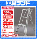 (代引不可 直送品) ハセガワ 園芸用三脚脚立 グリーンステップ (3尺) GSC-90