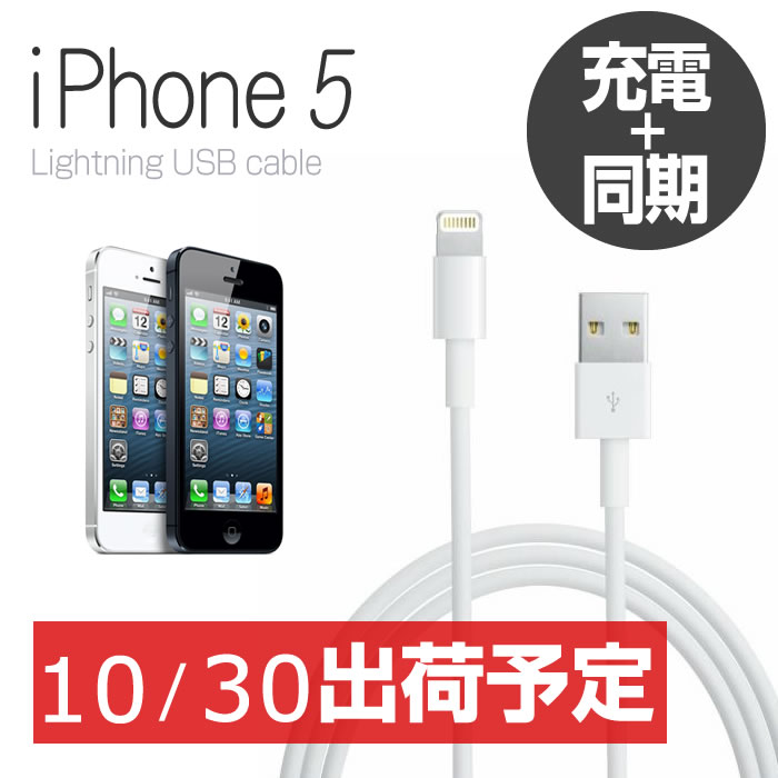  iPhone5 USBケーブル iPhone5用 USB Cable Lightning コネクタ データ通信/充電/8ピンコネクタ/同期 転送ケーブル/iPhone dock/iPhone5 ケーブル