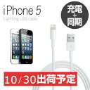  iPhone5 USBケーブル iPhone5用 USB Cable Lightning コネクタ データ通信/充電/8ピンコネクタ/同期 転送ケーブル/iPhone dock/iPhone5 ケーブル