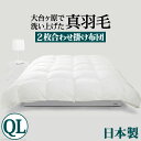 送料無料 羽毛布団 クイーン 日本製 スペイン産ホワイトダック 成熟羽毛寝具シリーズ 〔真羽毛〕 2枚合わせ掛け布団 クイーン ロングサイズ 掛け布団 抗菌 防臭 国産 ロイヤルゴールド 90400054