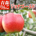 青森りんご ジョナゴールド ◆高級品 5C箱(5kg箱:約16〜20個入)【りんご 青森県産 リンゴ 林檎 アップル りんごジュースに ギフト お試し フルーツ 果物 青森県 お土産 お取り寄せ 販売 通販 秋元りんご園】【楽ギフ_のし】【RCP】