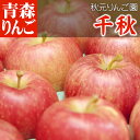 りんご 青森県産 千秋 (せんしゅう) ●家庭用 10C箱(10kg箱:約32〜40個入)【青森りんご リンゴ 林檎 アップル りんごジュースに ギフト お試し フルーツ 果物 青森県 お土産 お取り寄せ 販売 通販 秋元りんご園】【楽ギフ_のし】【RCP】