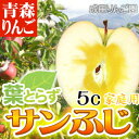 りんご 青森県産 なりたりんご園 家庭用 葉とらず サンふじ...