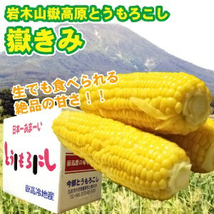 【だけきみ】【予約販売】【送料無料】嶽きみ 2Lサイズ 10本入　生でも食べられる日本一甘いとうもろこし!!青森県の岩木山嶽高原から、朝もぎ新鮮を産地直送!!【期間限定 トウモロコシ】