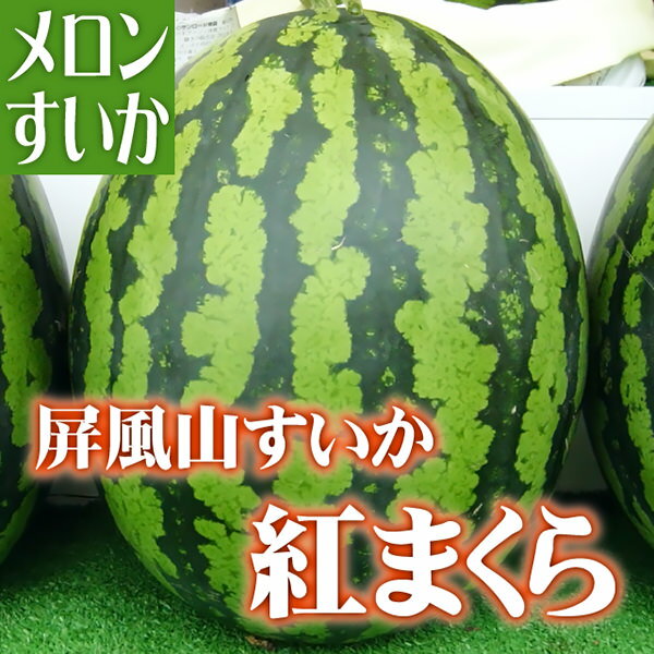 yzXR XCJ g܂(ׂɂ܂) 2LTCY 2yX yY O  ʕ t[c   󂠂 LO Mtg   Z x Ɋ   n W[X _zyRCPz