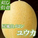 青森屏風山 メロン ユウカ ◆大玉 5個入り【青森