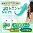 セロトニン サプリメント【リラクミンSe】2個セット ラフマ葉エキス・クワンソウ・ギャバ配合 サプリ不眠で睡眠薬に頼りたくない方更年期にも!【10P03Dec16】
