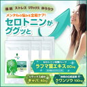 セロトニン サプリ 【リラクミンSe 6個セット】 ラフマ葉エキス クワンソウ ギャバ ( GABA ) 配合 サプリメント 睡眠薬 ではない セロトニン 更年期 メラトニン【送料無料】【10P03Dec16】