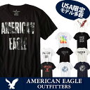 【American Eagle】アメリカンイーグル正規品 メンズ AE 半袖 Tシャツ(ae77) アメカジ アメリカ ブランド