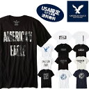【American Eagle】アメリカンイーグルアメリカ限定品多数 メンズ AE 半袖 Tシャツ(ae77) アメカジ アメリカ ブランド