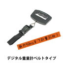 メール便等送料無料 デジタル重量計 ラゲッジスケールハンディデジタルスケール スーツケース用はかり デジタルスケール ストラップタイプ デジタル 計測器 ポッキリ 1000円 日本語取扱説明書付属 海外旅行 M39M【RCP】