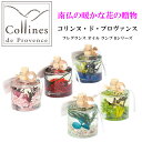 オイルランプ ランプ オイル Collines d