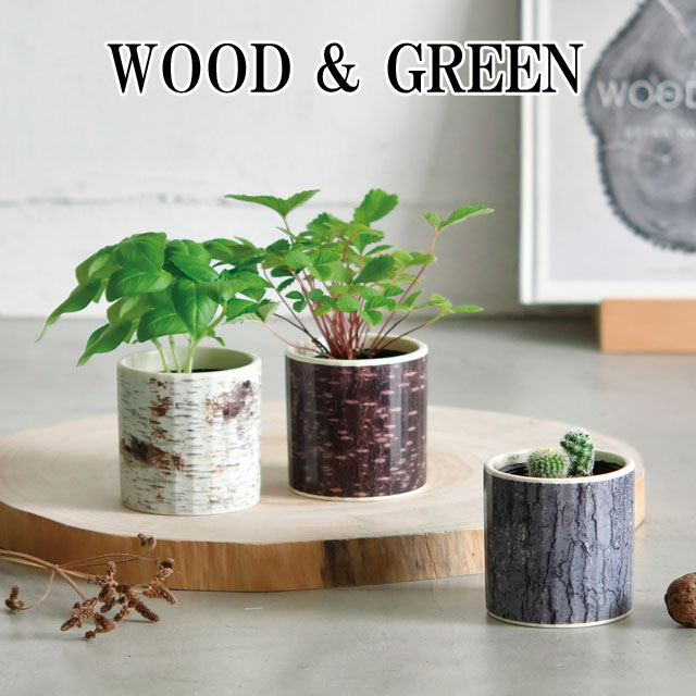 栽培キット WOOD & GREEN ウッド & グリーン 【即納】 <strong>栽培セット</strong> 植物 グリーン ハーブ 野菜 ワイルドストロベリー カクタス バジル 白樺 オーク 桜 インテリア かわいい オシャレ 置物 グッズ